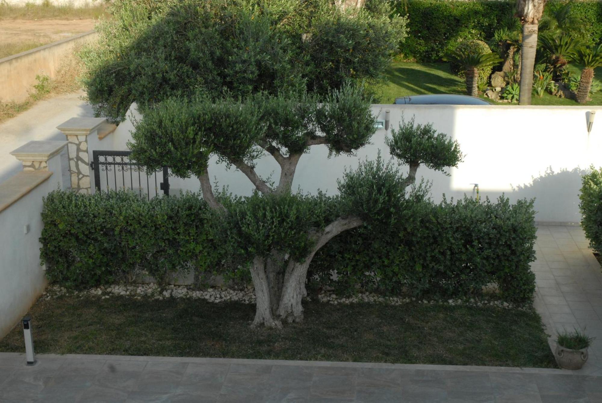 Oasi Tortuga Residence Piscina E Barbecue H24 Mazara del Vallo Exterior photo